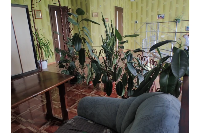 Фото  - Будинок для людей похилого віку «Турбота та Затишок»