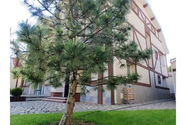 Фото  - Будинок пристарілих Затишний будинок