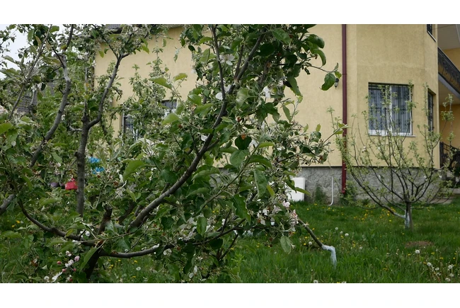 Фото  - Приватний пансіонат для людей похилого віку «Срібний вік»