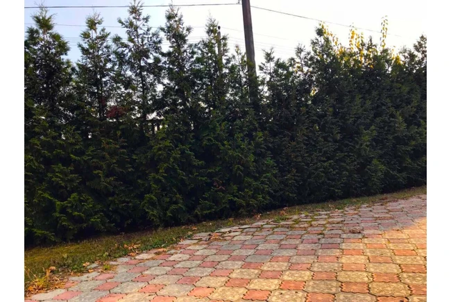 Фото  - Приватний пансіонат Родинна турбота